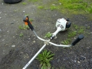 Мотокоса stihl fs 55