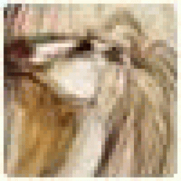 JesseEnari