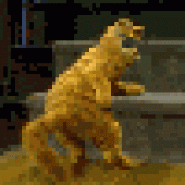Biotacaf