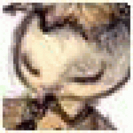 DanielDrync