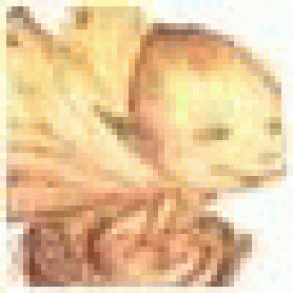 CharlesAtomo