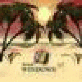 Jamesedipt