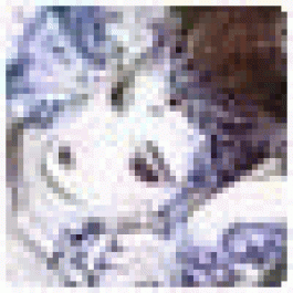 GalperBag