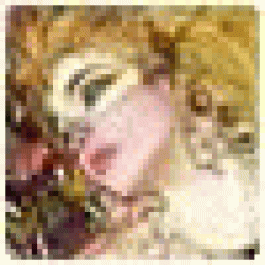 DianeCouct